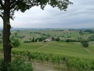 ALLENAMENTO DI NORDIC WALKING