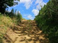 ALLENAMENTO DI NORDIC WALKING
