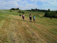 ALLENAMENTO DI NORDIC WALKING