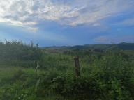 ALLENAMENTO DI NORDIC WALKING