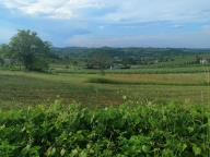 ALLENAMENTO DI NORDIC WALKING