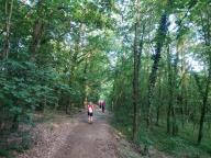 ALLENAMENTO DI NORDIC WALKING