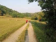 ALLENAMENTO DI NORDIC WALKING