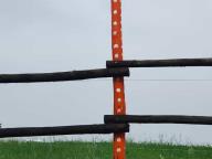 ALLENAMENTO DI NORDIC WALKING