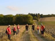 ALLENAMENTI DI NORDIC WALKING