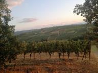 ALLENAMENTI DI NORDIC WALKING