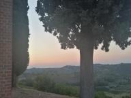 ALLENAMENTI DI NORDIC WALKING