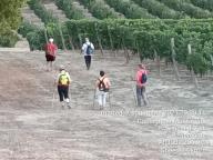 ALLENAMENTI DI NORDIC WALKING