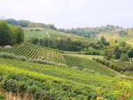 ALLENAMENTI DI NORDIC WALKING