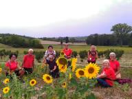 ALLENAMENTI DI NORDIC WALKING