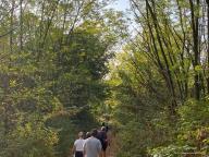 ALLENAMENTO DI NORDIC WALKING