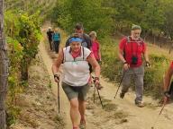 ALLENAMENTI DI NORDIC WALKING