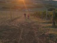 ALLENAMENTI DI NORDIC WALKING