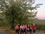 ALLENAMENTI DI NORDIC WALKING