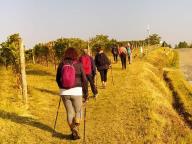 ALLENAMENTI DI NORDIC WALKING