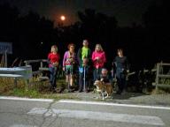 ALLENAMENTI DI NORDIC WALKING