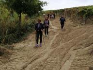 CAMMINATE IN TECNICA NORDIC WALKING