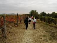 CAMMINATE IN TECNICA NORDIC WALKING