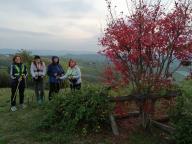 ALLENAMENTI DI NORDIC WALKING