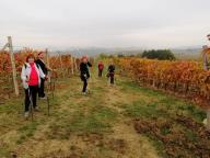 ALLENAMENTI DI NORDIC WALKING