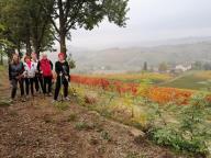 ALLENAMENTI DI NORDIC WALKING