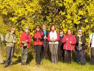 ALLENAMENTI DI NORDIC WALKING
