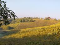ALLENAMENTI DI NORDIC WALKING