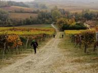 ALLENAMENTI DI NORDIC WALKING