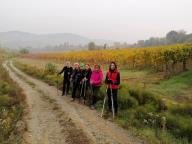 ALLENAMENTI DI NORDIC WALKING