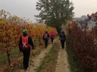 ALLENAMENTI DI NORDIC WALKING