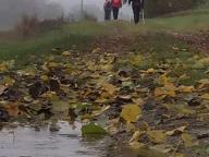 ALLENAMENTI DI NORDIC WALKING