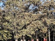 ALLENAMENTO DI NORDIC WALKING