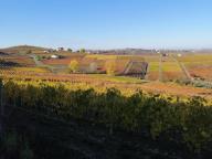 ALLENAMENTI DI NORDIC WALKING