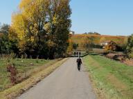 ALLENAMENTI DI NORDIC WALKING