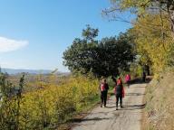 ALLENAMENTI DI NORDIC WALKING