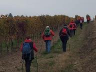 ALLENAMENTI DI NORDIC WALKING