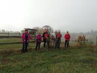 ALLENAMENTI DI NORDIC WALKING