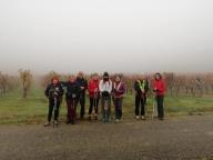 ALLENAMENTI DI NORDIC WALKING