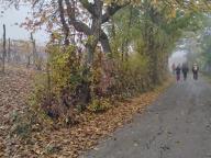 ALLENAMENTI DI NORDIC WALKING