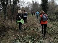ALLENAMENTI DI NORDIC WALKING