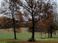 ALLENAMENTO DI NORDIC WALKING