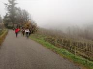 ALLENAMENTO DI NORDIC WALKING