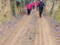 ALLENAMENTI DI NORDIC WALKING