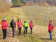 ALLENAMENTI DI NORDIC WALKING