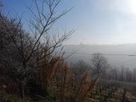 ALLENAMENTI DI NORDIC WALKING