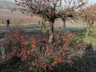 ALLENAMENTI DI NORDIC WALKING