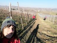 ALLENAMENTI DI NORDIC WALKING