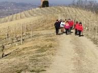 ALLENAMENTI NORDIC WALKING