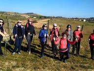 ALLENAMENTI NORDIC WALKING
