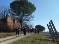 ALLENAMENTI NORDIC WALKING